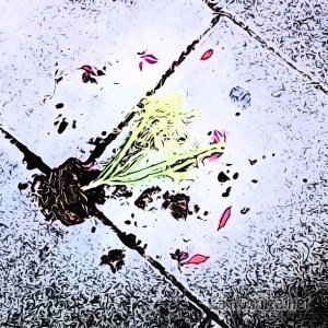 La foto, como algunos besos, es robada (perdón)